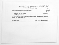 Image Associated With the Occurrence